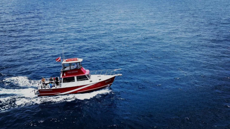 Jupiter Water Tours – Boat Tours, Sunset Cruises & Wildlife on the Inlet