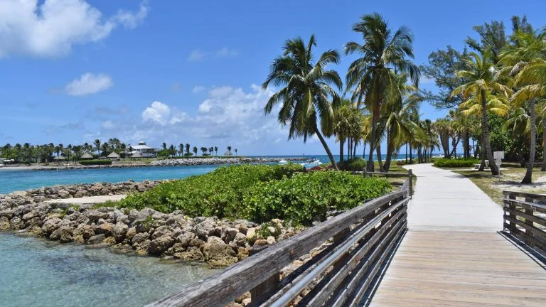 DuBois Park – Lagoon Swimming, Snorkeling & Family Beach Guide