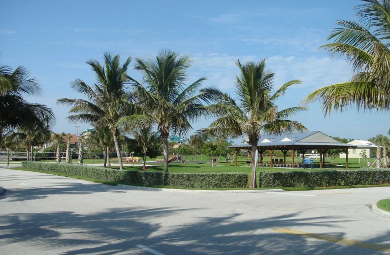 Ocean Cay Park – Dog Beach, Volleyball & Coastal Park Guide