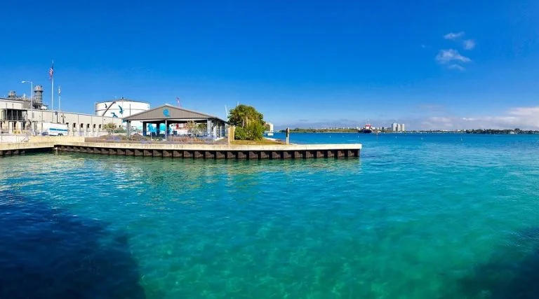 Visit visitmanateelagoon.com
